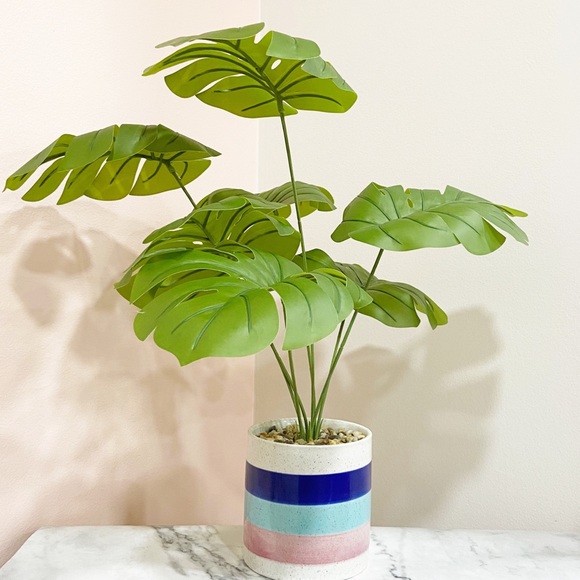 Urban Outfitters Other - Faux Monstera Deliciosa Plant in Colorful Pot